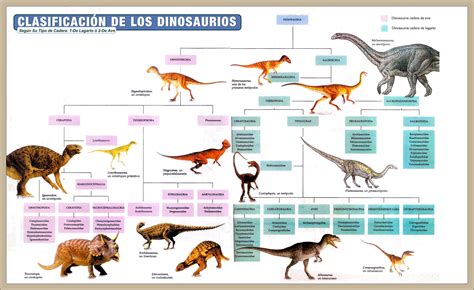 Tipos De Dinosaurio