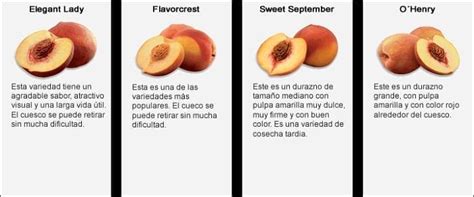 Tipos De Durazno