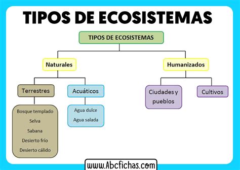 Tipos De Ecosistemas