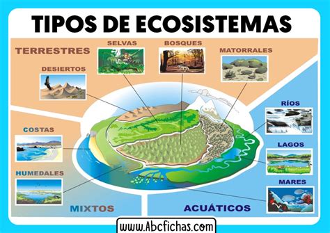 tipos de ecosistemas caracteristicas