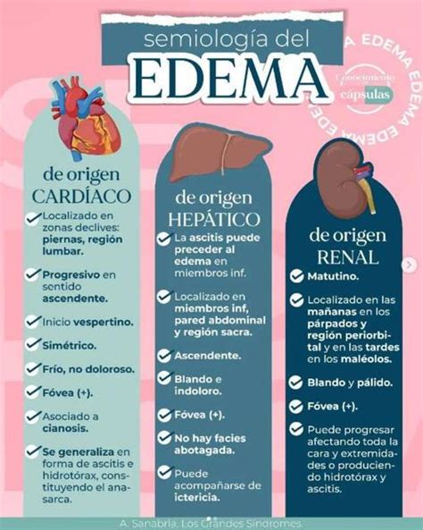 Tipos De Edema