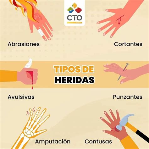 Tipos De Erlicha