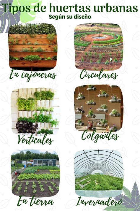 Tipos De Huertos