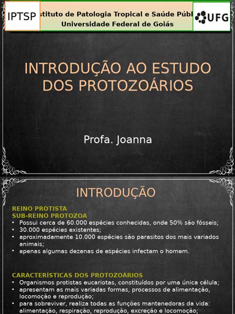 Tipos De Introdução
