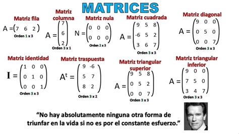 Tipos De Matrices