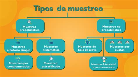 Tipos De Muestra