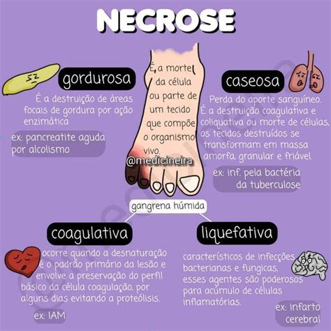 Tipos De Necrose