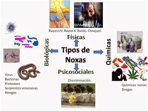 Tipos De Noxas