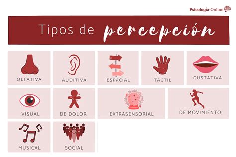 Tipos De Percepcion