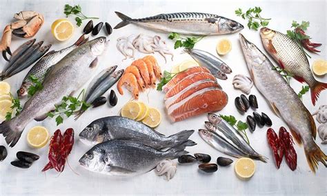 Tipos De Pescado