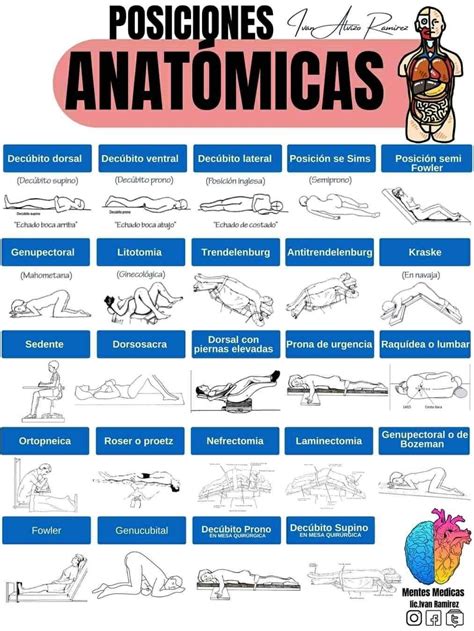 Tipos De Posiciones