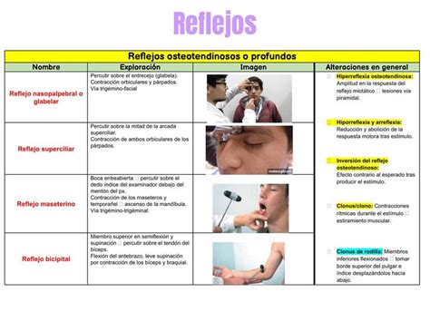 Tipos De Reflejos