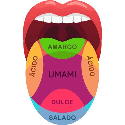 Tipos De Sabores