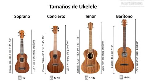 Tipos De Ukulele