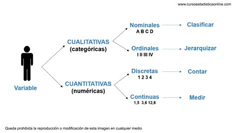 Tipos De Variables Y Ejemplos