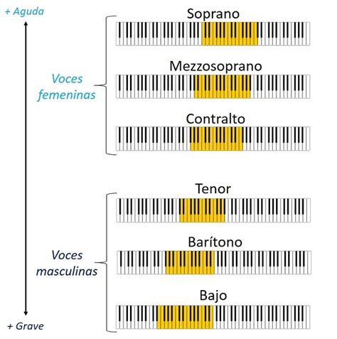 Tipos De Voz