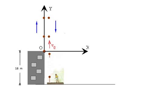 Tiro Vertical Ejemplos