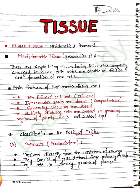 Tissue Class 9 Notes Pdf