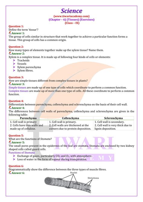 Tissue Class 9th