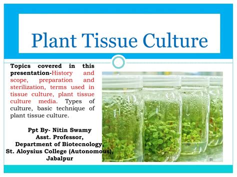 Tissue Culture Ppt