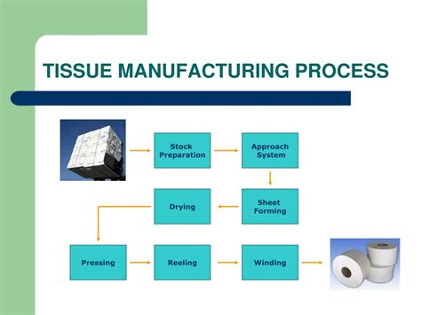 Tissue Paper Manufacturing Process