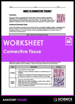 Tissue Worksheet Connective Tissue Matrix Worksheet Answers - Connective Tissue Matrix Worksheet Answers