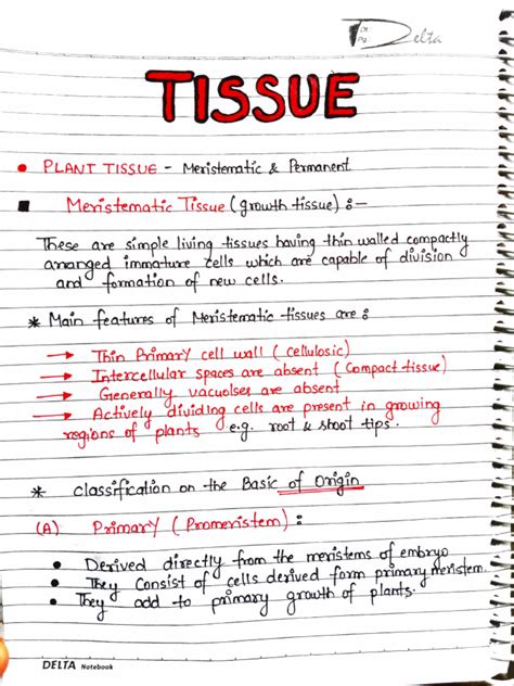 Tissues Class 9 Notes Pdf