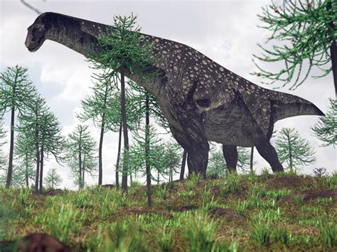 Titanosaurs The Biggest Land Animals In Earth Scientific Traits Science - Traits Science