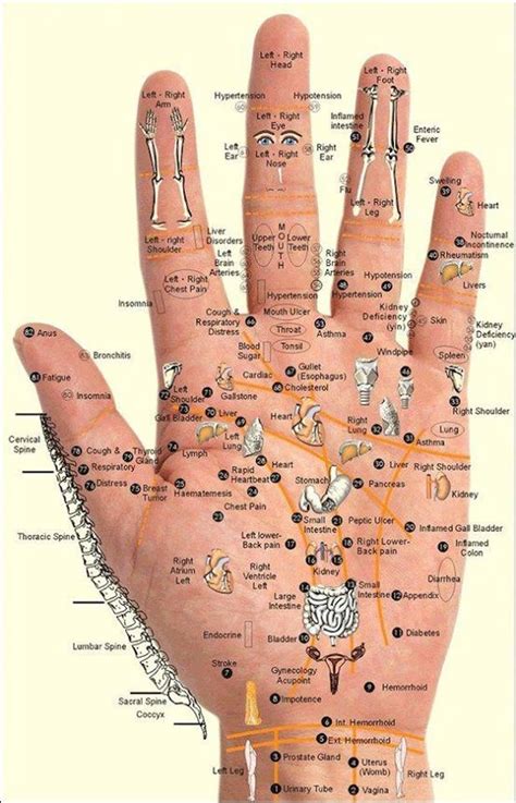 titik saraf pada tangan