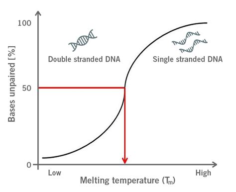 Tm Of Dna