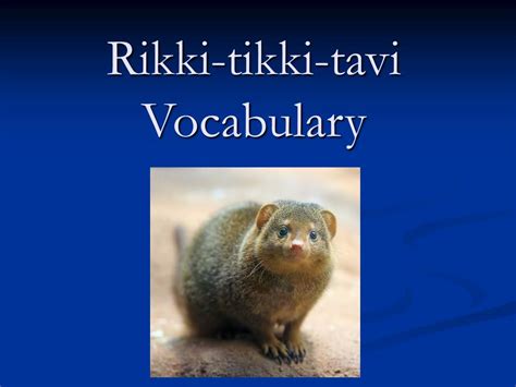 Tms Rikki Tikki Tavi Vocab Vocabulary List Vocabulary Rikki Tikki Tavi Vocabulary Worksheet - Rikki Tikki Tavi Vocabulary Worksheet