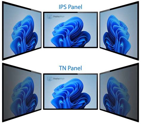 tn vs ips display