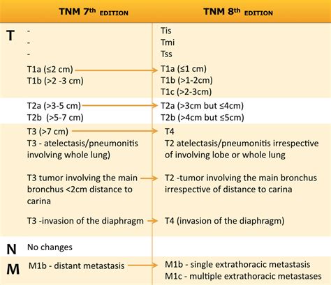 Download Tnm Classification Of Malignant Tumours 7Th Edition 