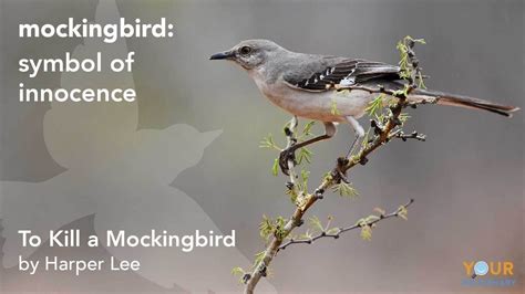 To Kill A Mockingbird Explained