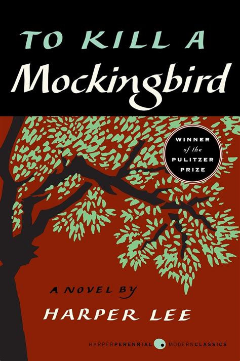 To Kill A Mockingbird Synopsis