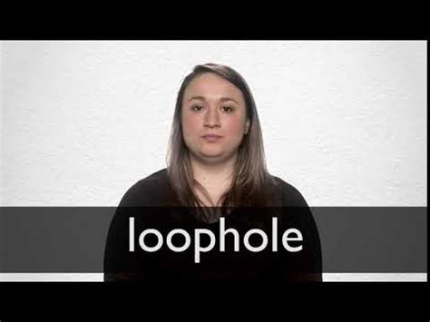 to plug a loophole definition English dictionary for learners