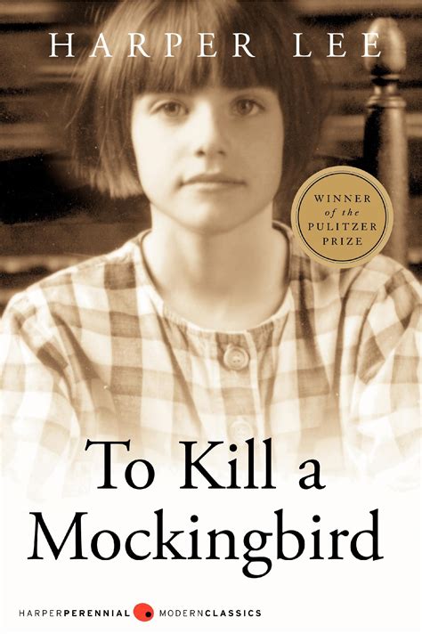 Download To Kill A Mockingbird Chapter 22 Puzzel 