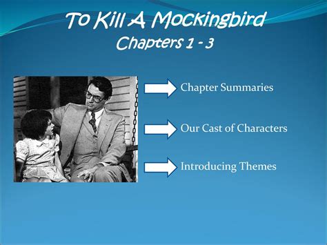 Read Online To Kill A Mockingbird Chapter Summaries 