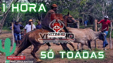 Toadas De Vaquejada