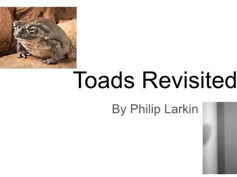 Toads Revisited Analysis