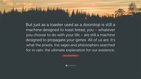 Toaster Steve
