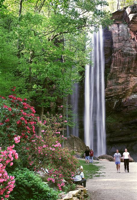 toccoa falls georgia