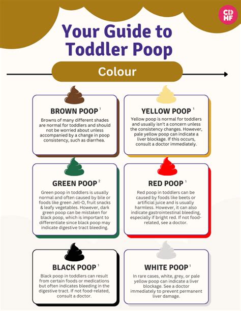 Toddler Stool Color Chart