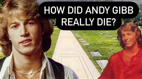 todesursache von andy gibb biography