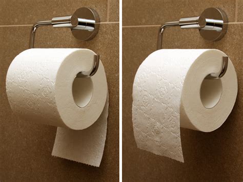Full Download Toilet Paper Orientation Personality 