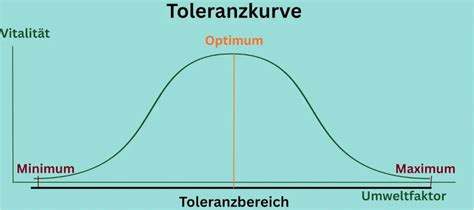 toleranzkurve biography