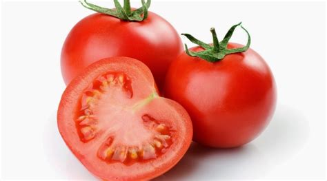 tomat buah atau sayur