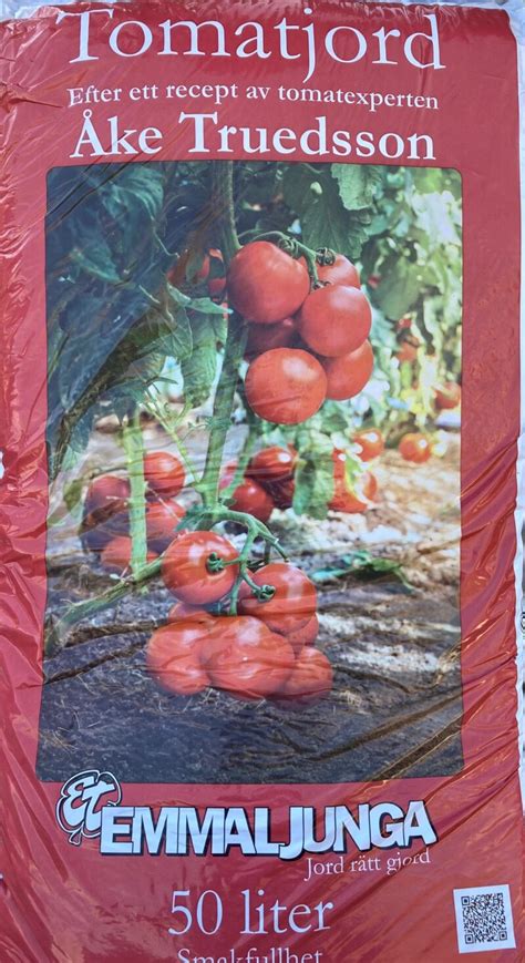 tomat jord