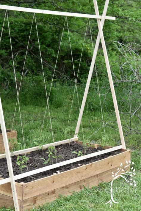 tomato trellis string