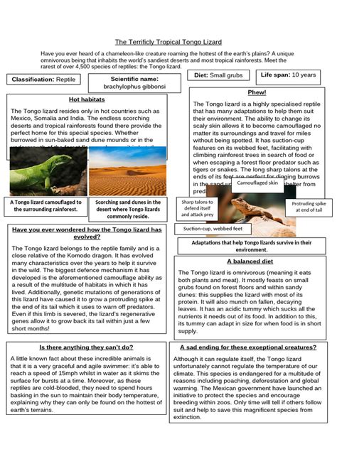 Tongo Lizard Sats Paper